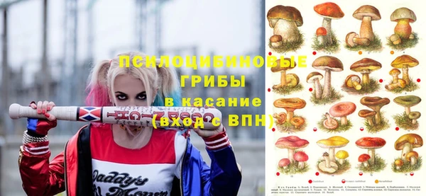стафф Алексеевка
